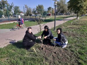 Подробнее о статье ДЕНЬ ОСЕННЕГО ДРЕВОНАСАЖДЕНИЯ